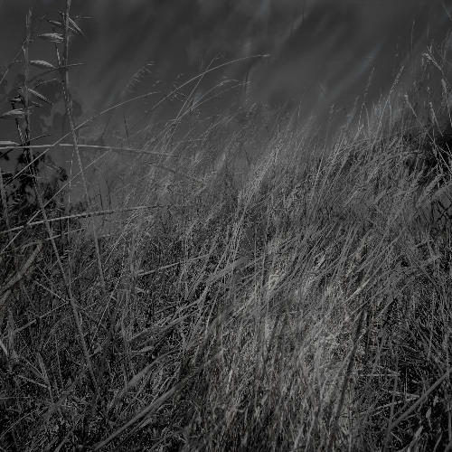 Expoded - Inexorable