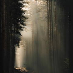 alifiru- ihtilâl