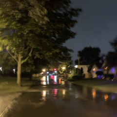 doe_demo_form & vox sample add