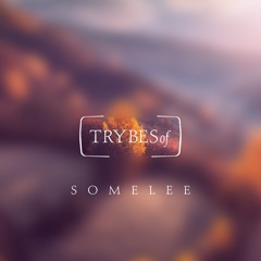 Somelee - No Tears