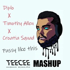 Diplo x Croatia Squad x Timothy Allen - Pussy Like This (TeeCee Mashup)