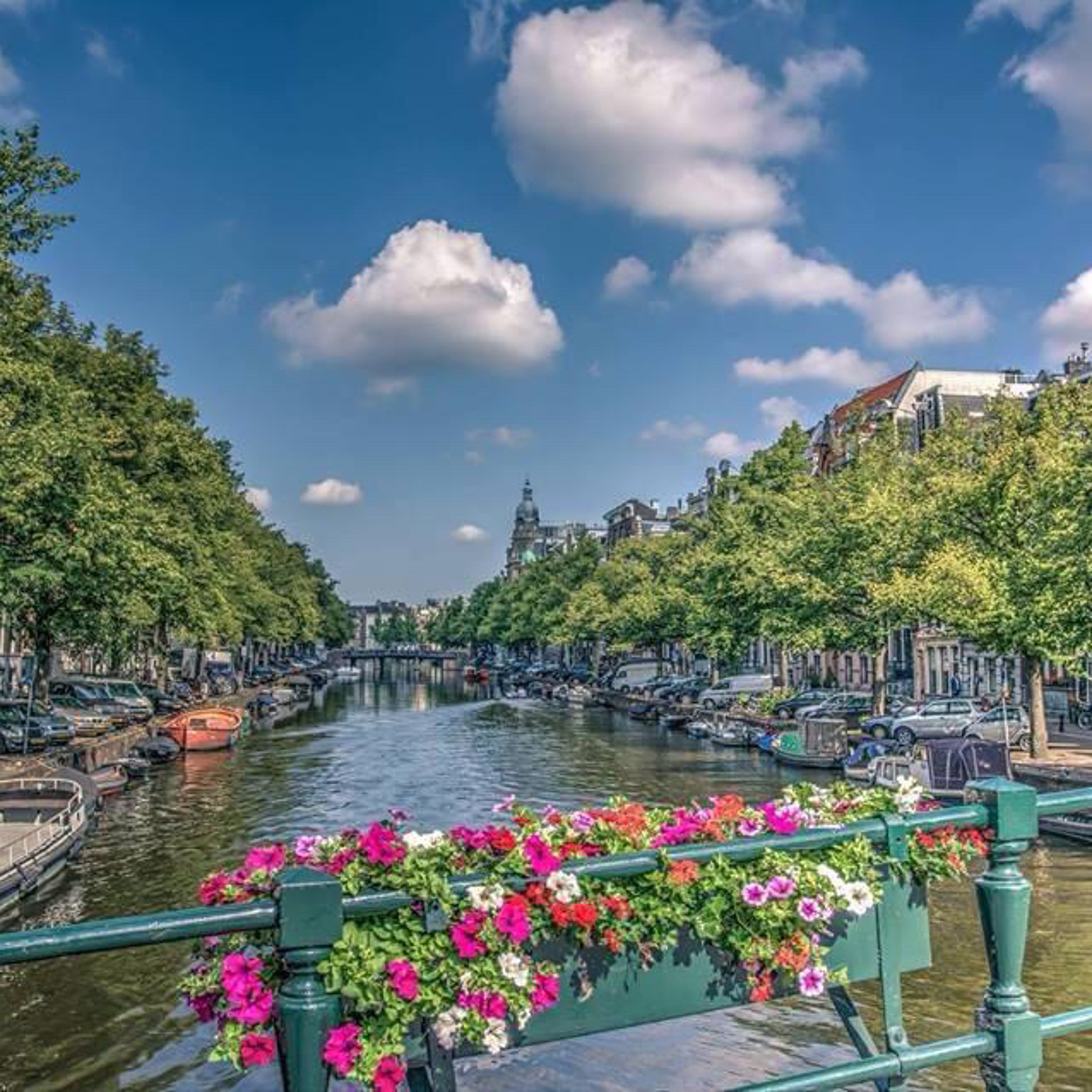 Chilling in Amsterdam episode artwork