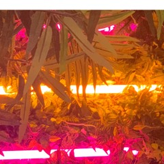 House, Nu Disco, Remixes1