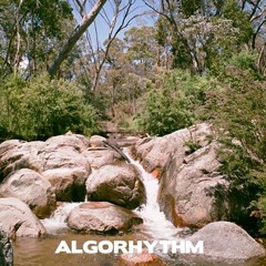 ALGORHYTHM ֍ DISCOBASIS