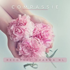 Compassie Meditatie (Recovery Dharma NL)