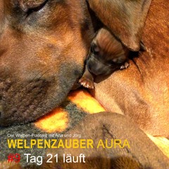 WELPENZAUBER AURA #9 Tag 21 läuft