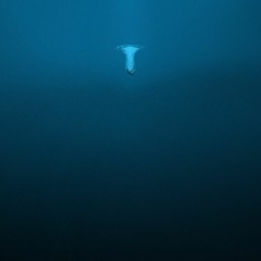 Deep down in the Ocean