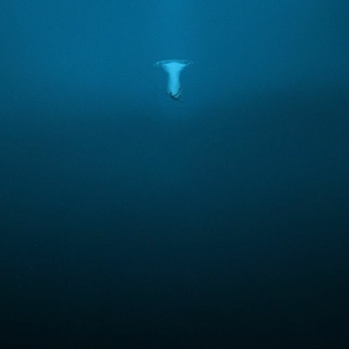 Deep down in the Ocean