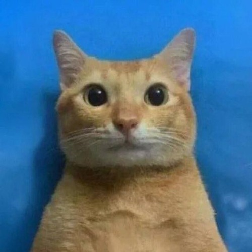 tbI_nԐ_Ԑwb_Гpu6bI