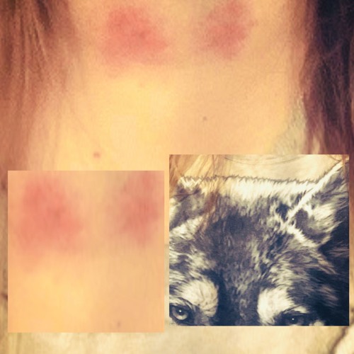 i look so pretty in twilight scene2 (mv in desc)