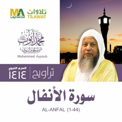الأنفال محمد أيوب تراويح