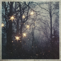 Lorde - David [Kavan Dziadon bootleg]