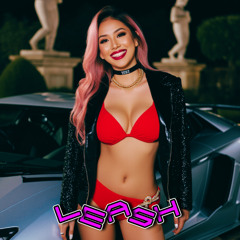 Leash