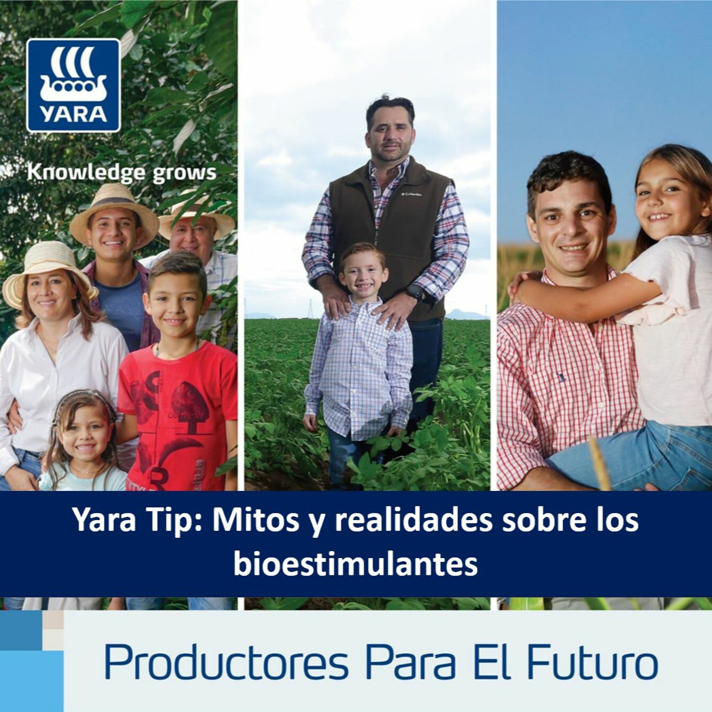 Productores Para El Futuro