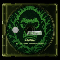 MIX 002 - 1 HOUR JUNGLE HARDGROOVE
