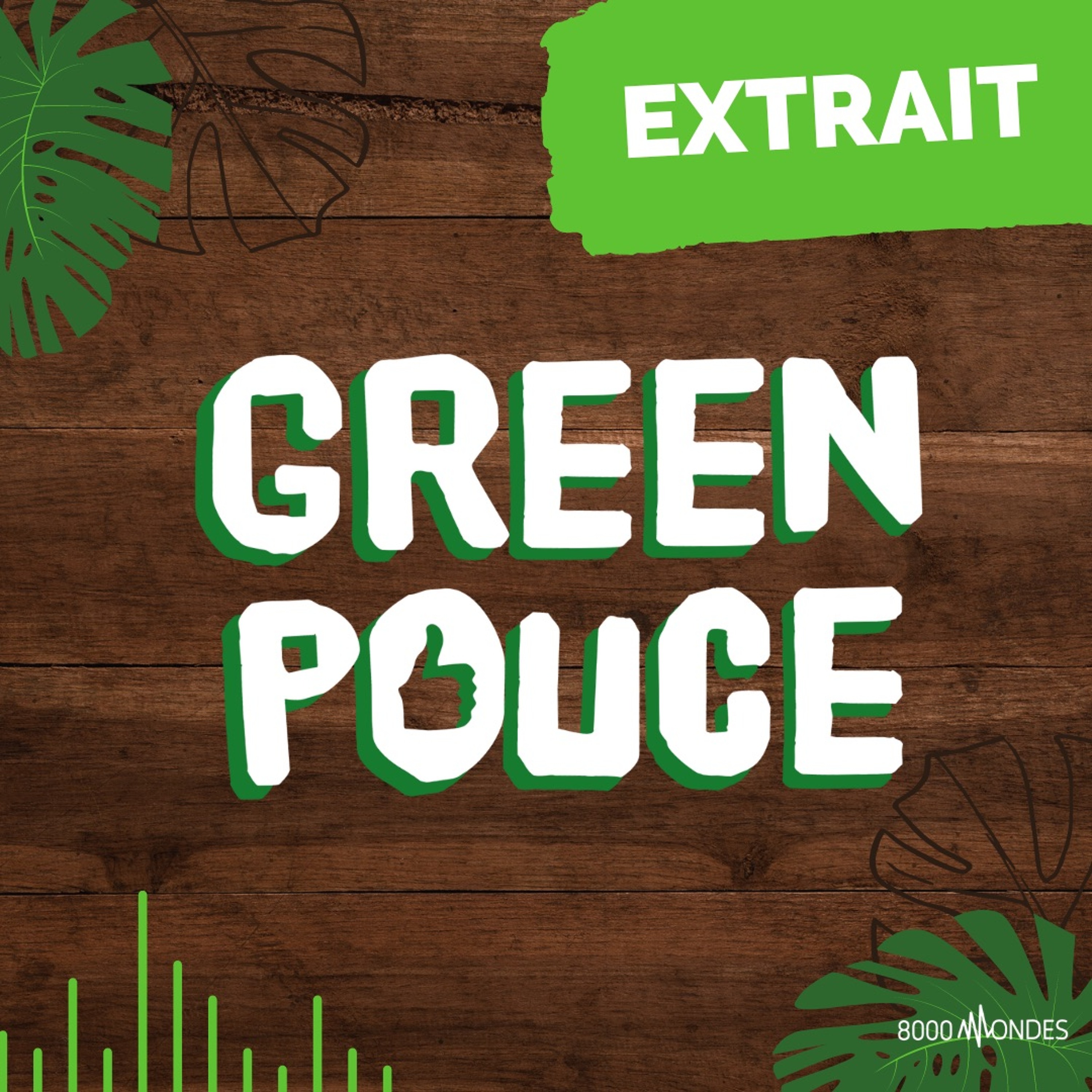 Greenpouce Extrait - Le Flashmob episode artwork