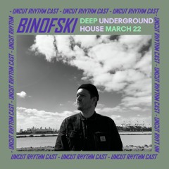 Uncut Rhythm: Deep Underground House March 2022 - All Vinyl Mix