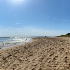Biscarrosse