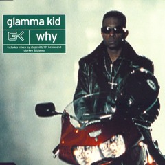 Why (Mafia and Fluxy Hard Mix)