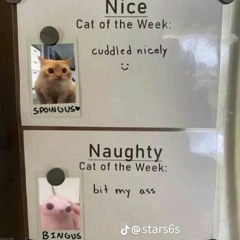 I'm out of it...and a secret streamer 😋