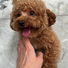 HER LOSS #Req Tongpo X Ace