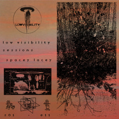 Low Visibility - sessions - S01 E11 Spacey Lacey