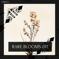 Cereus - Rare Blooms 017