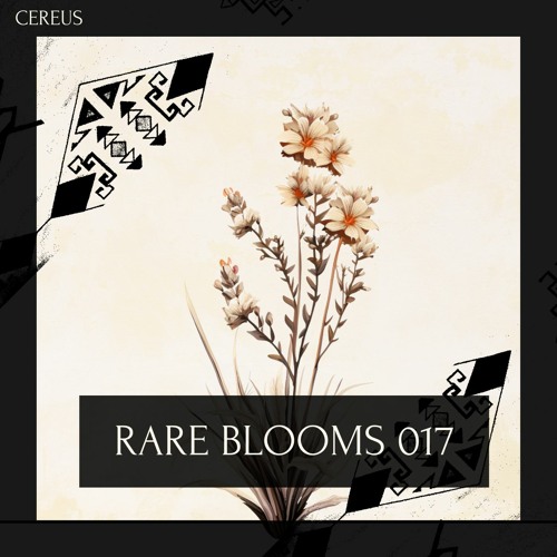 Cereus - Rare Blooms 017