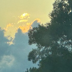 2026 03 02 The Isness