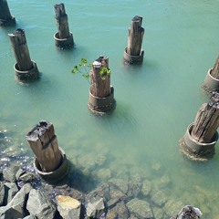 Deirdres Samba (Tolkning) ft. Fah och Mårten