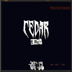 Cedar (prod. ScottySplash)