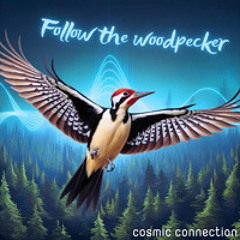 Cosmic Connection - Follow the Woodpecker