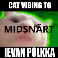 Cat vibing to midsnärt
