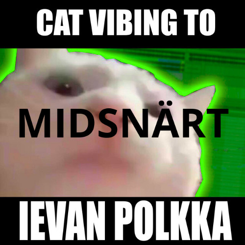 Cat vibing to midsnärt