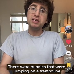 Bunnies On A Trampoline (full) - Oliver Richman