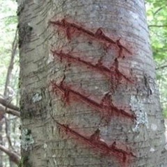 paramore when it rains_flip