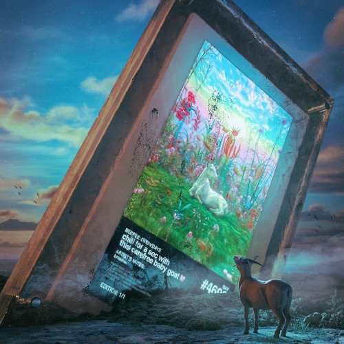 Daily Drop #3306 - Truly Lovely