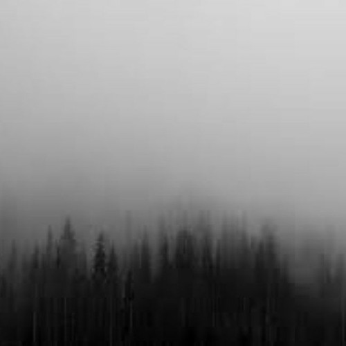 Franz Schubert (kraftwerk)