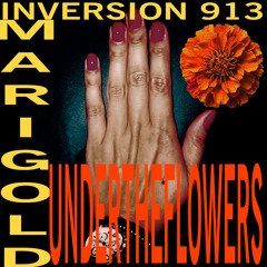 MARIGOLD