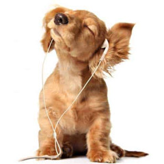 I Jus Scraped It Off The Top. (Scrape It Off Flip)