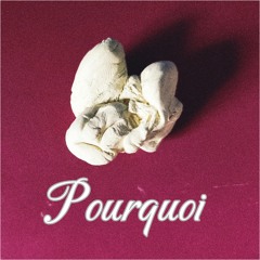 Pourquoi (prod by producerX)