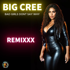 Bad girls dont say why 2 ( remix )
