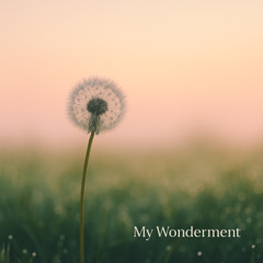 My Wonderment