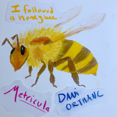 I Followed a Honeybee