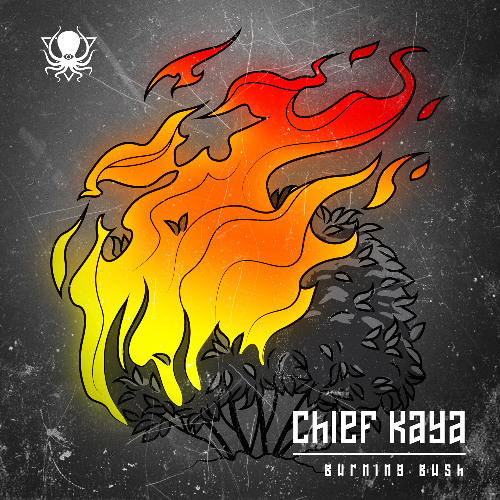 Chief Kaya - Implicit [Deep Dark & Dangerous]