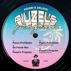 P&Z - Piuzel's Program incl. Paolo Mosca Remixes • EP