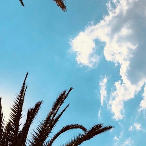 170bpm, ambient background music 🎲 FREE DOWNLOAD