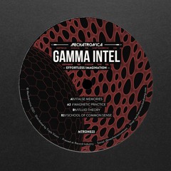 Gamma Intel - False Memories [MTRON023]