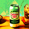 CANADA DRY WHEN YOU GET SICK TYPE MIX