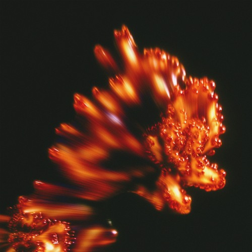 Premiere: Disguised x FANK — Lost in Monochrome [DISG003]